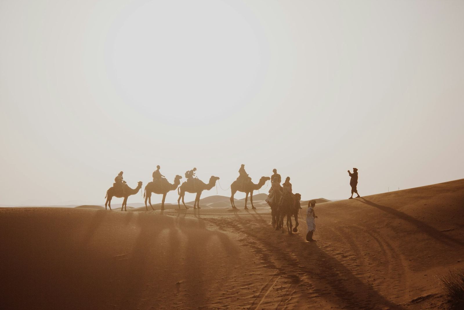 A line of camels crossing the dunes outside Bikaner.